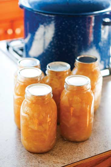 The Salatin family puts up 150 quarts of applesauce.